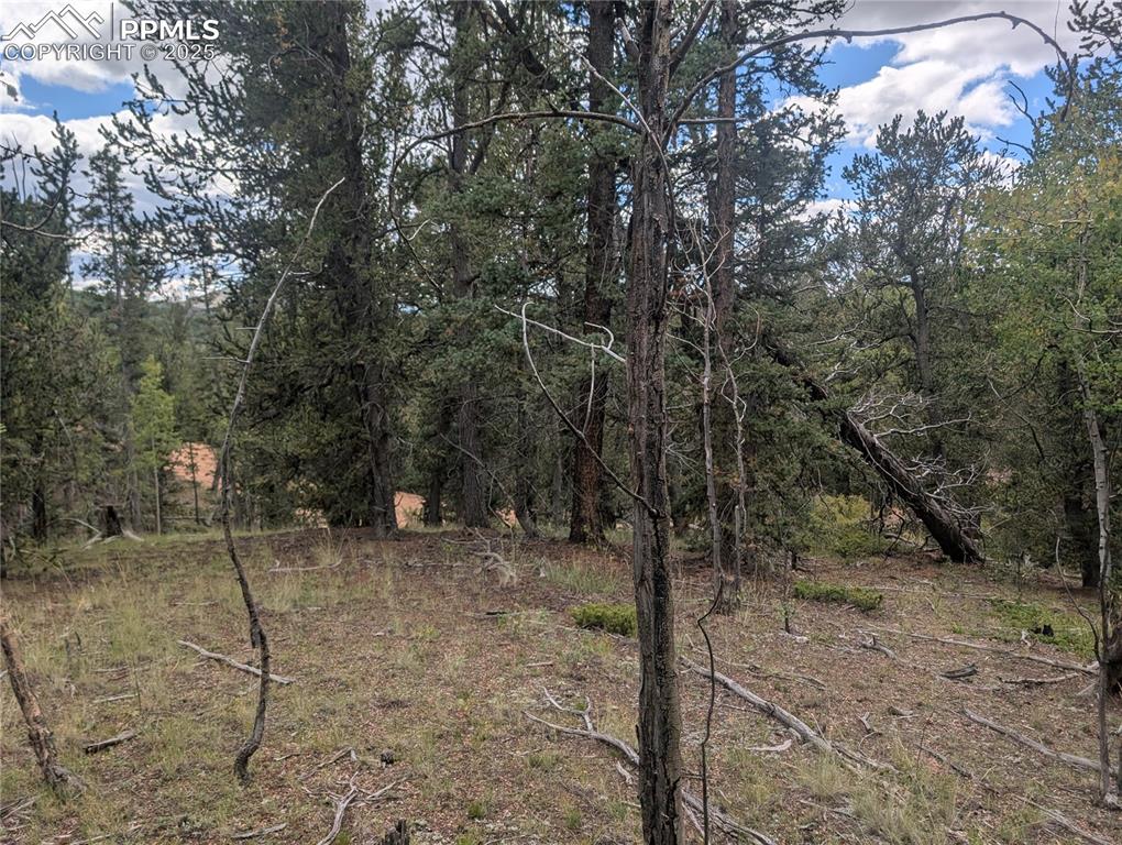 Image 28 of 31: Other