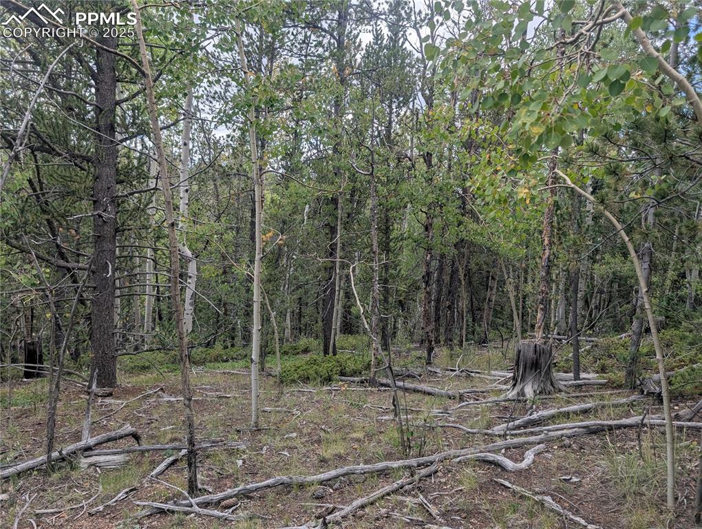 Image 29 of 31: Other