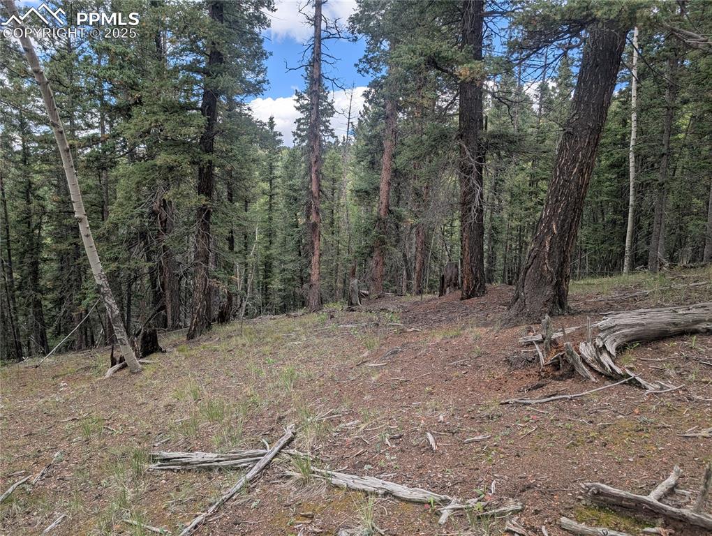 Image 3 of 31: Other