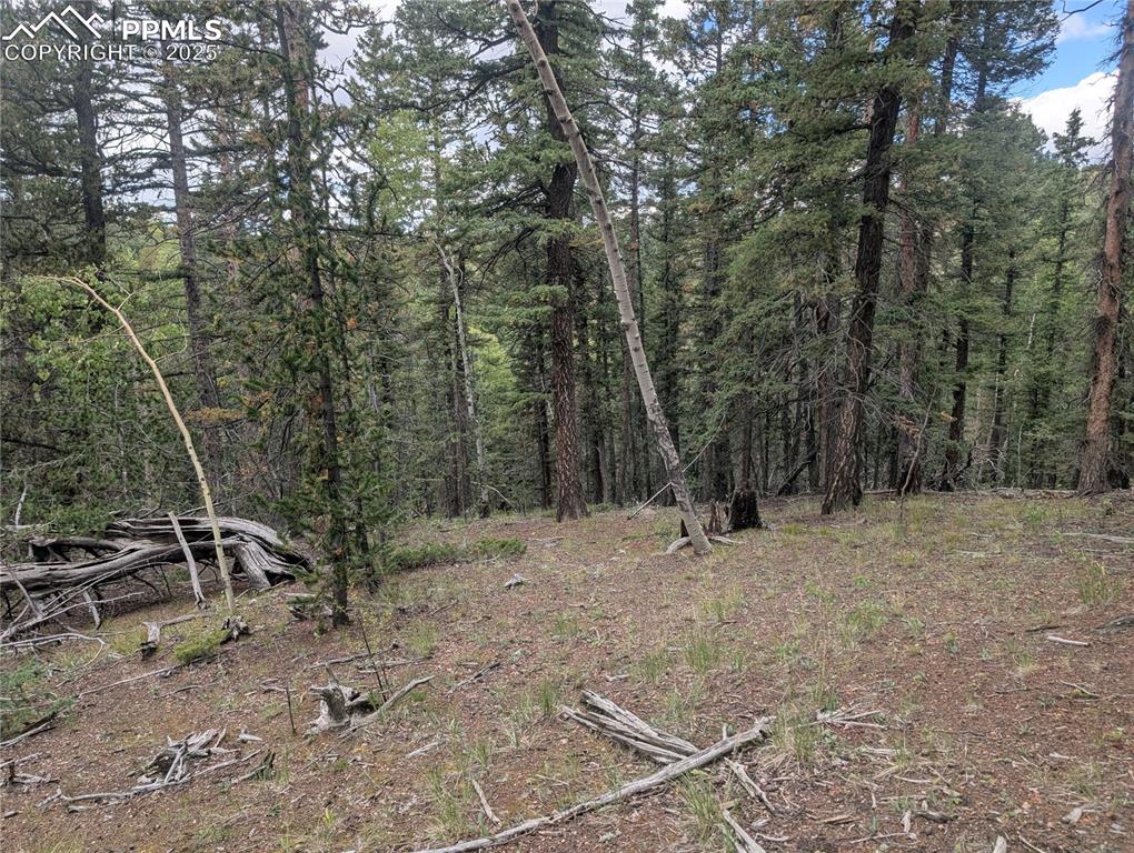 Image 5 of 31: Other