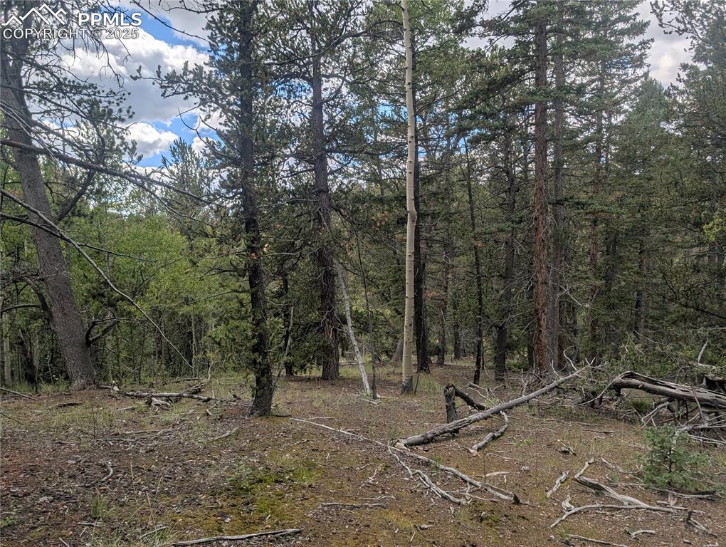 Image 6 of 31: Other