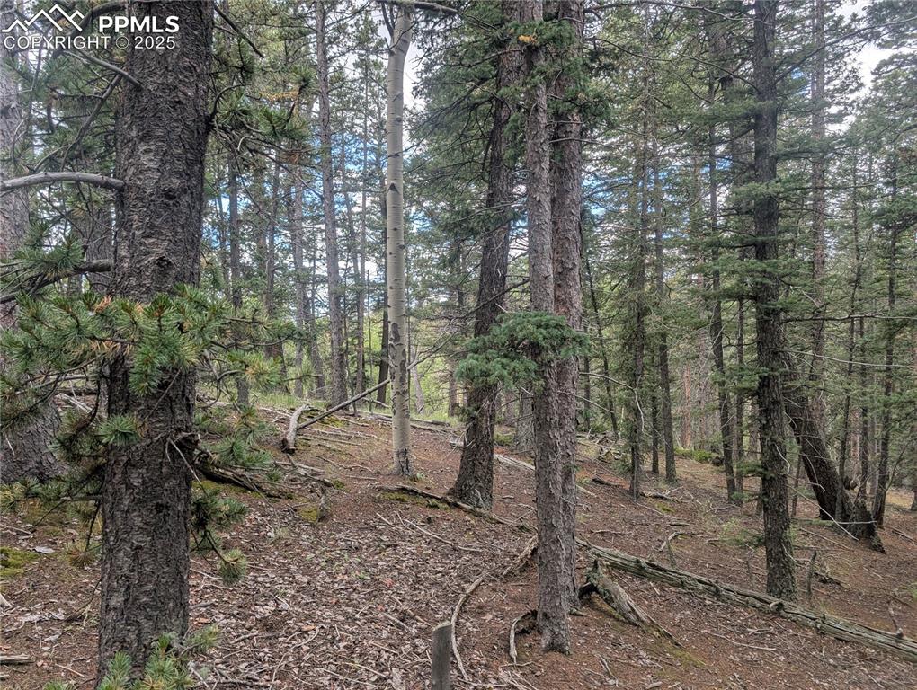 Image 8 of 31: Other