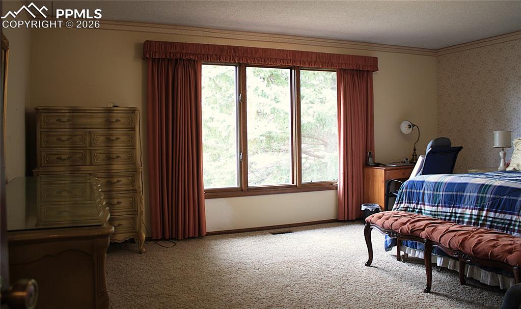 Image 15 of 40: Primary Bedroom - Pikes Peak View