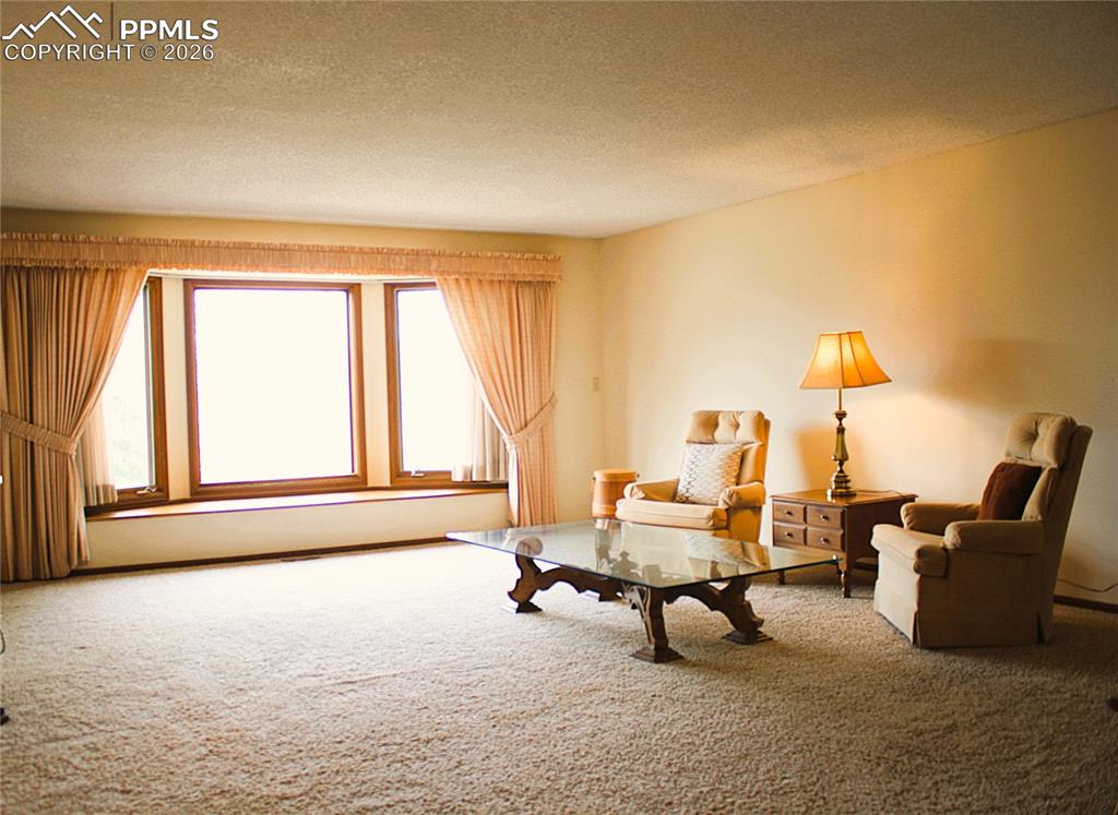 Image 3 of 40: Living Room with Pikes Peak View