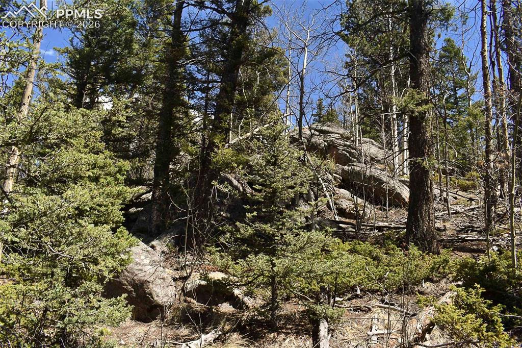 Image 6 of 25: Sellers Property Disclosure