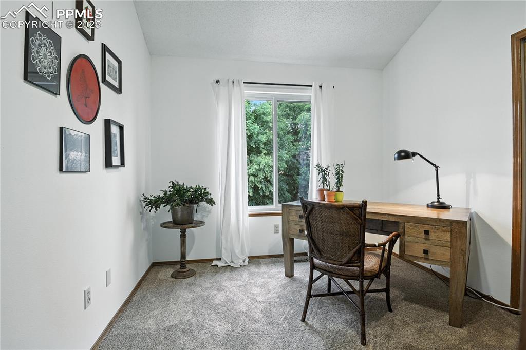 Image 23 of 50: Home office with carpet and a textured ceiling