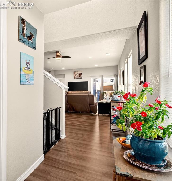 Image 3 of 31: New luxury vinyl plank flooring and tons of natural light as you enter the