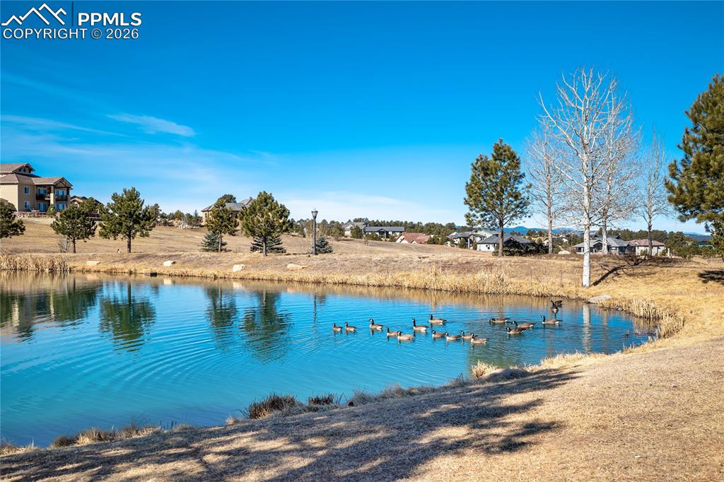 Image 47 of 50: Community