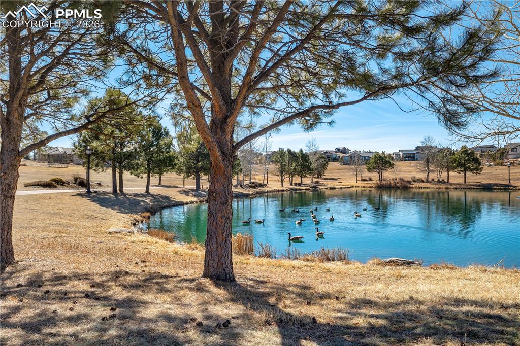 Image 48 of 50: Community