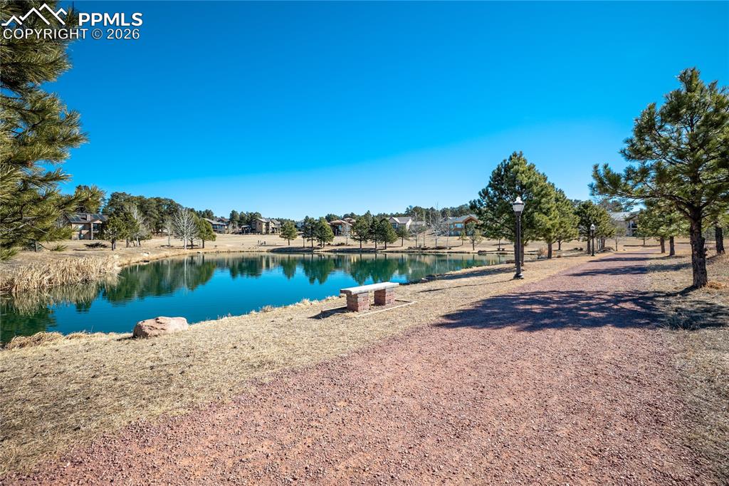 Image 49 of 50: Community