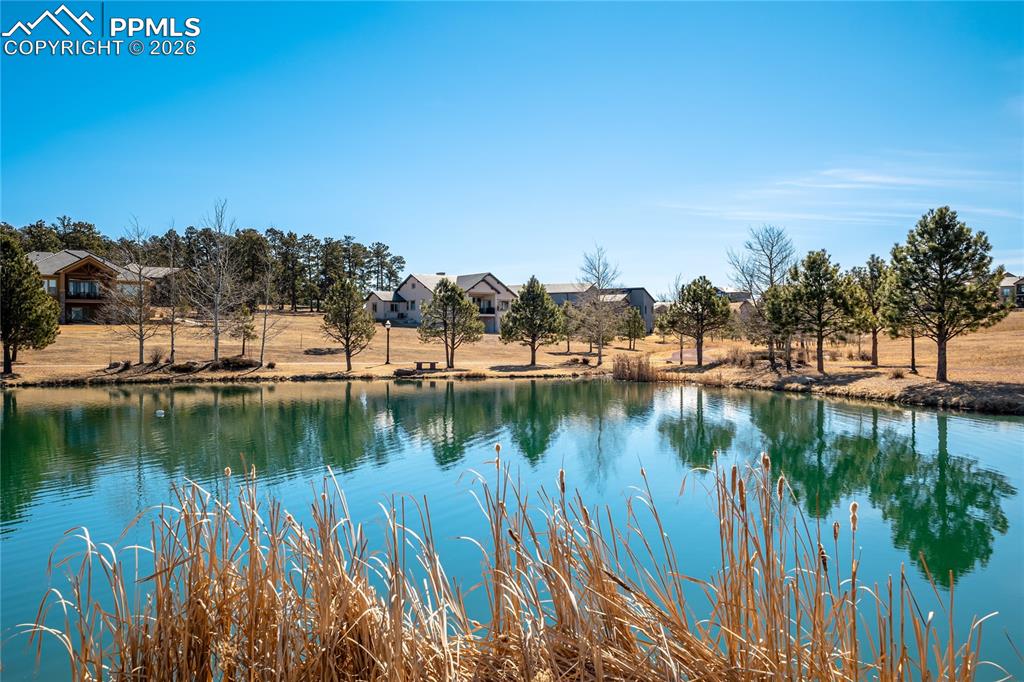 Image 50 of 50: Community