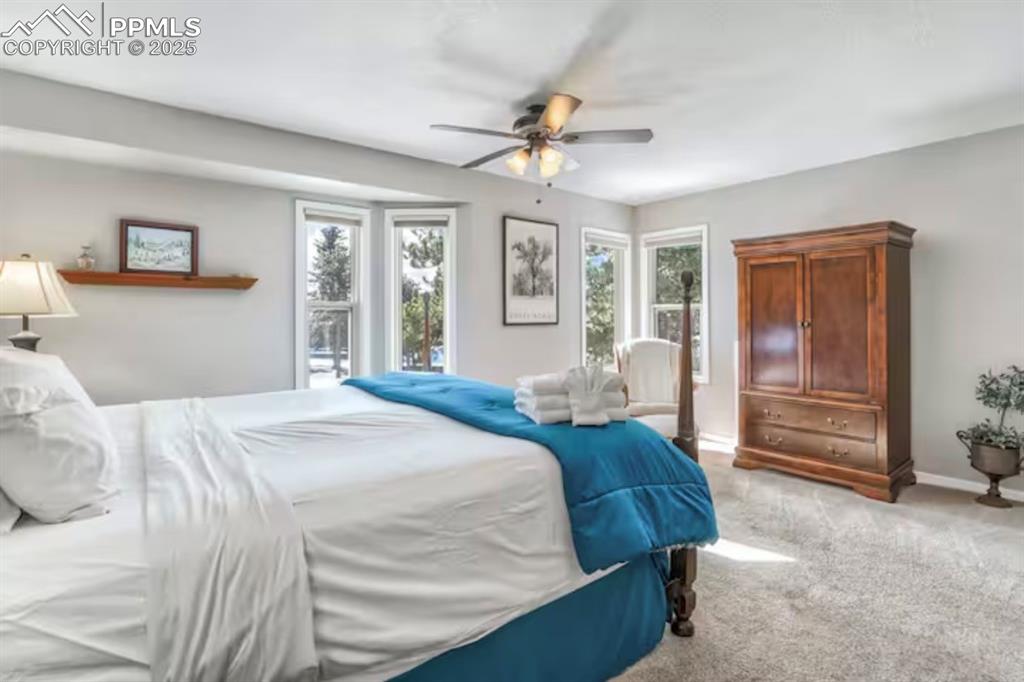 Image 16 of 48: Bedroom with carpet flooring, multiple windows, and ceiling fan