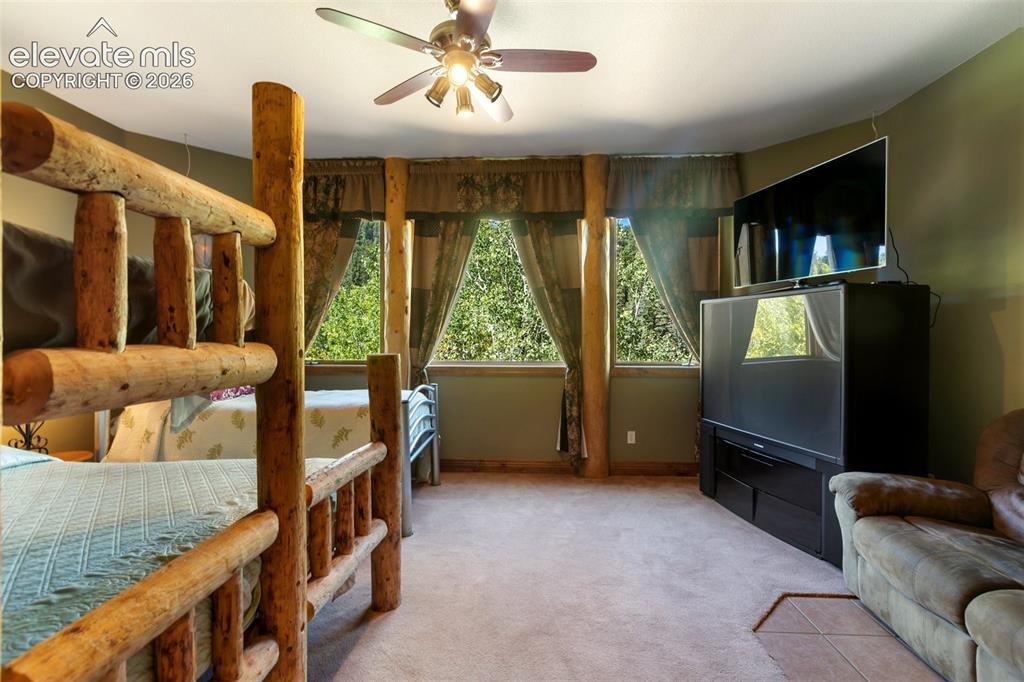 Image 47 of 50: Basement Family Room/Bedroom