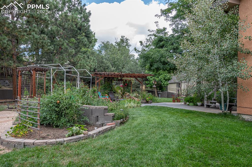 Image 43 of 49: Yard