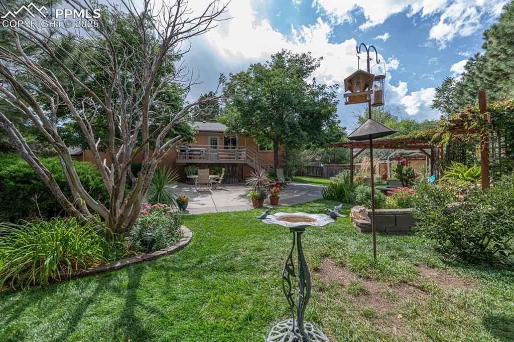 Image 46 of 49: Yard