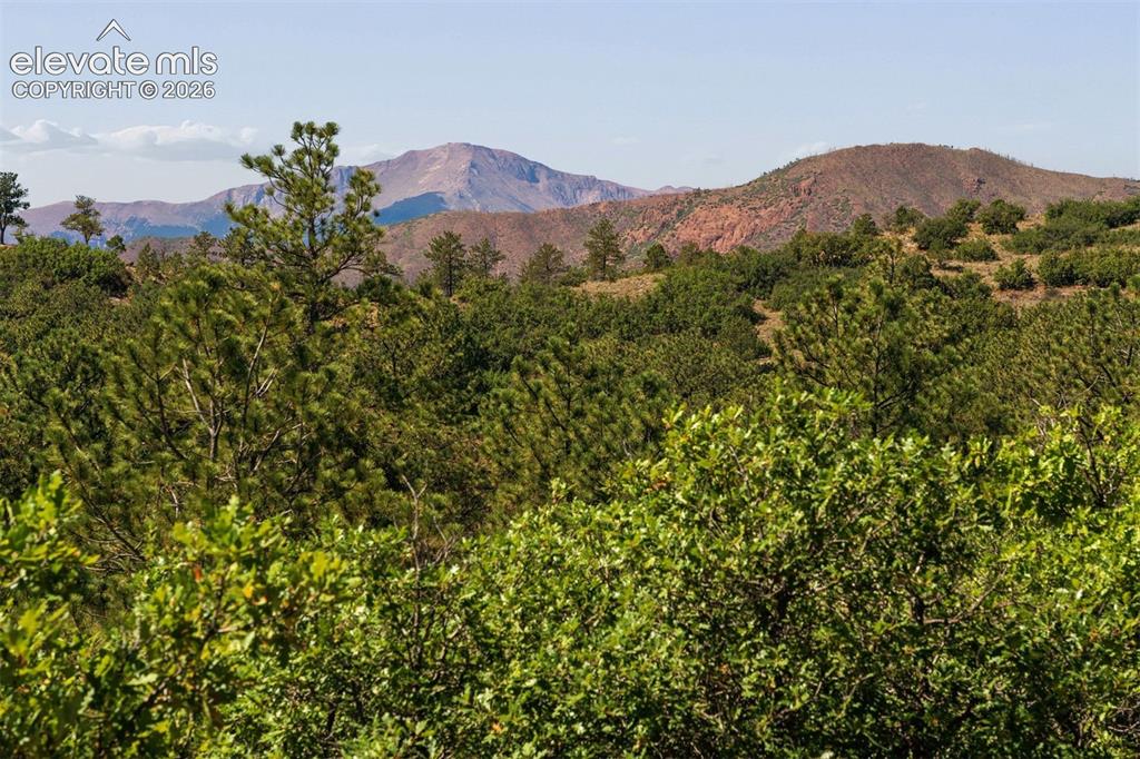 Image 9 of 50: View