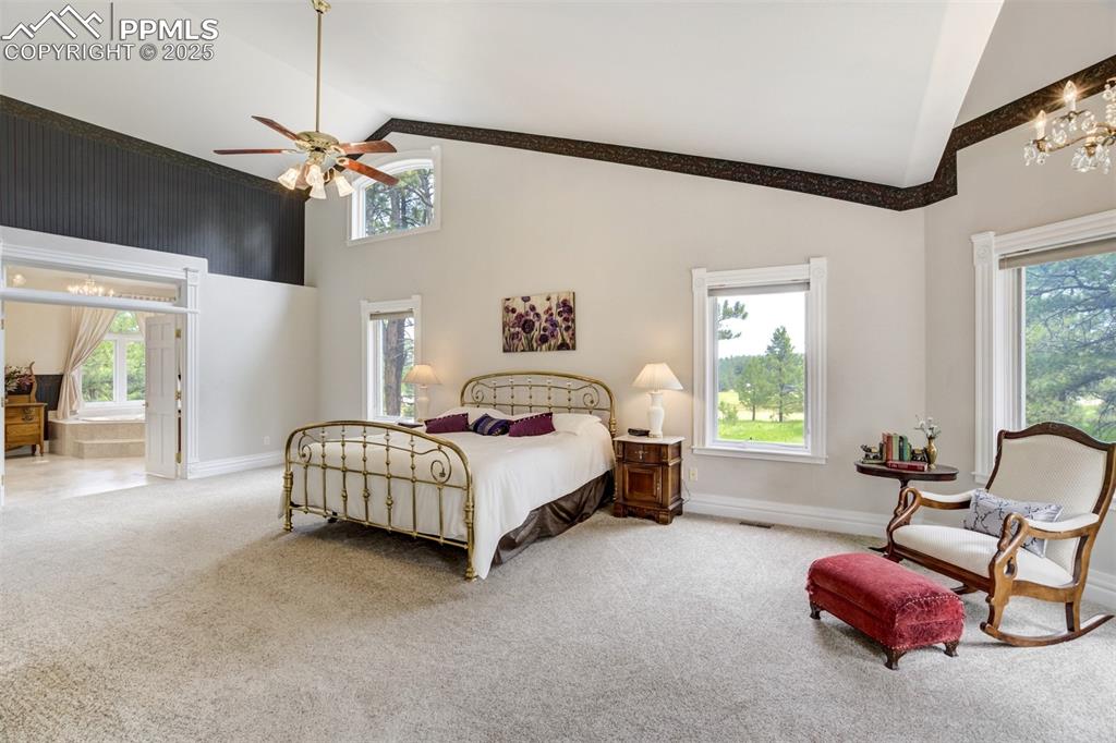 Image 22 of 50: Carpeted bedroom with high vaulted ceiling, multiple windows, a chandelier,