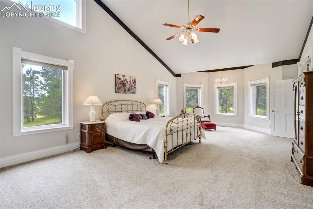Image 23 of 50: Bedroom with high vaulted ceiling, carpet floors, a chandelier, and ceiling