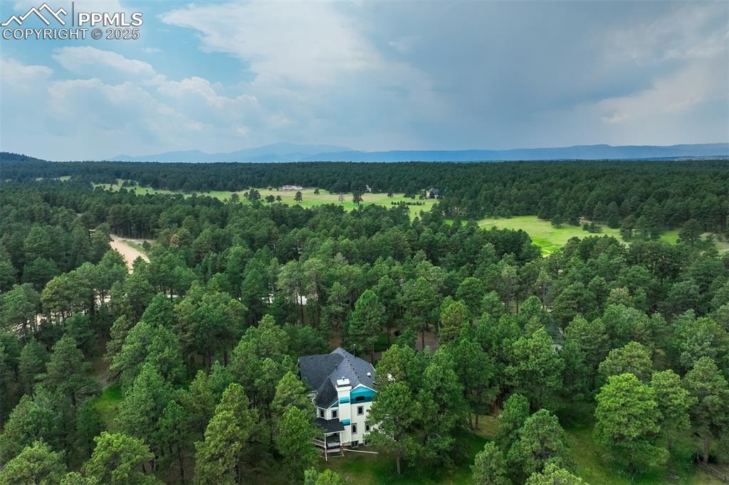 Image 49 of 50: Drone / aerial view of forest