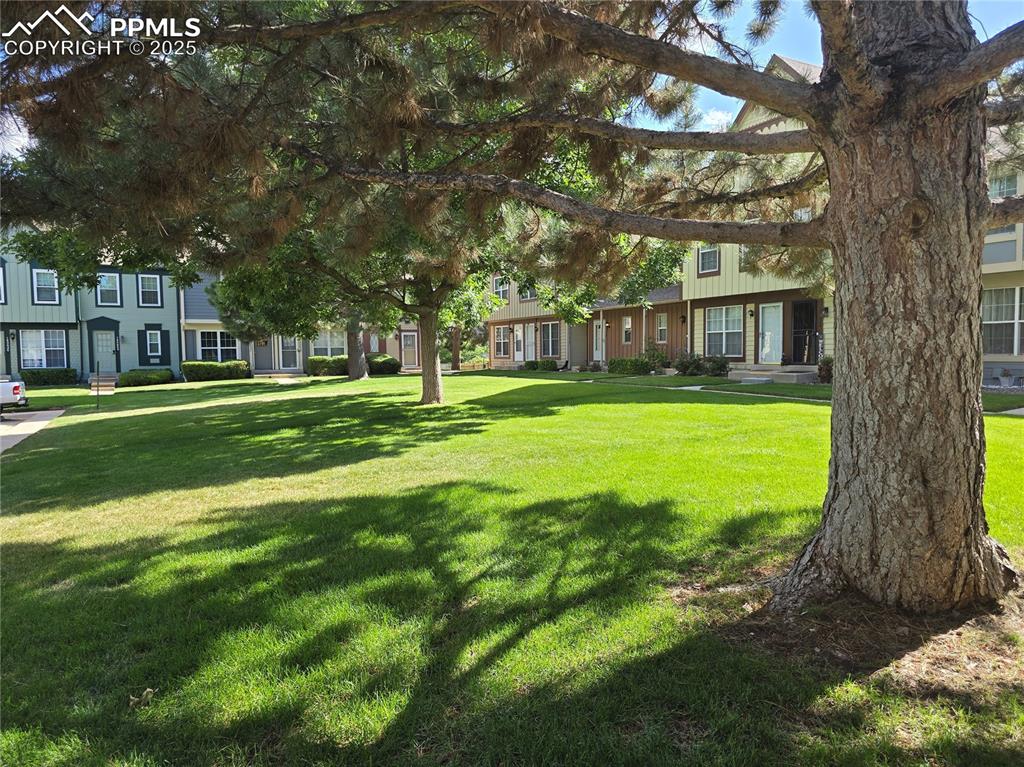 Image 17 of 17: Front Green Area