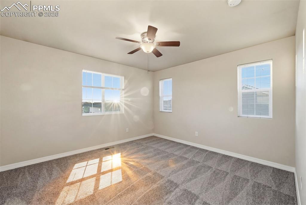 Image 16 of 30: Other