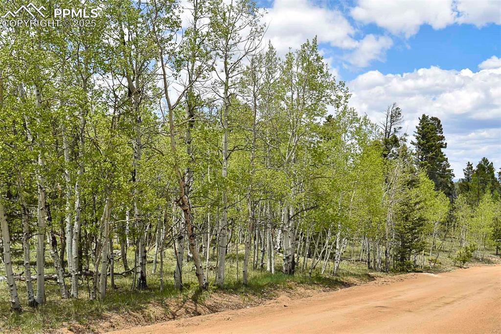 Image 10 of 25: Other