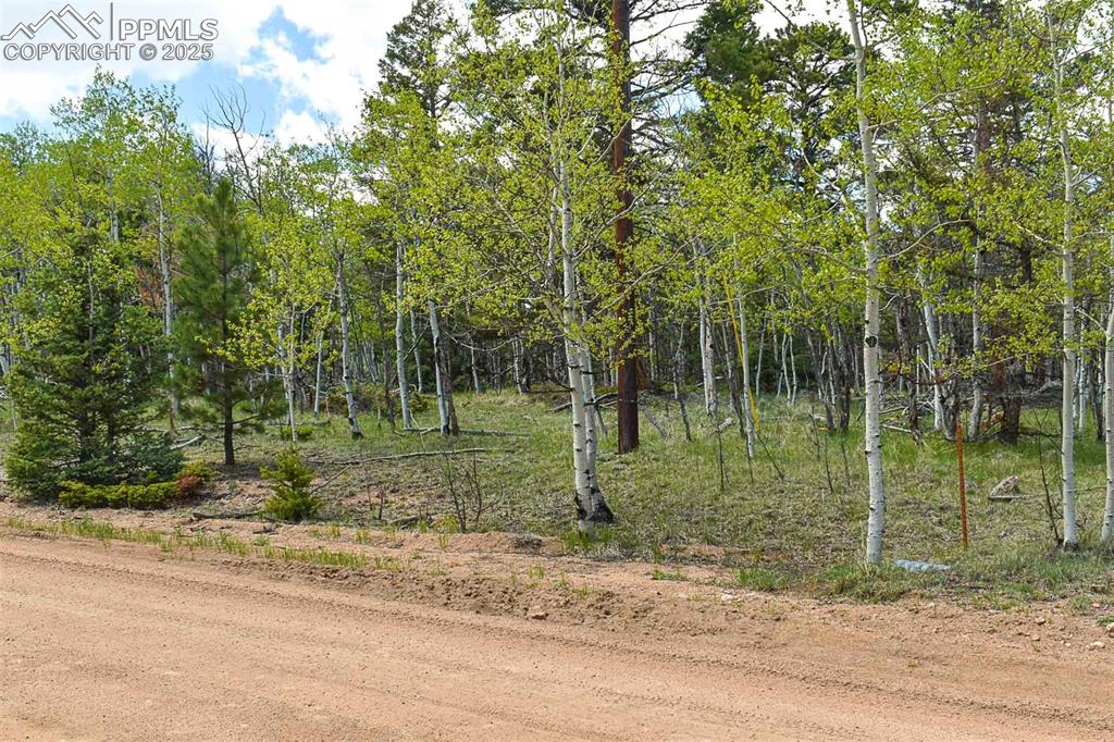 Image 13 of 25: Other