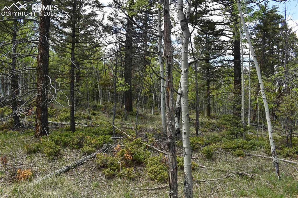 Image 19 of 25: Other