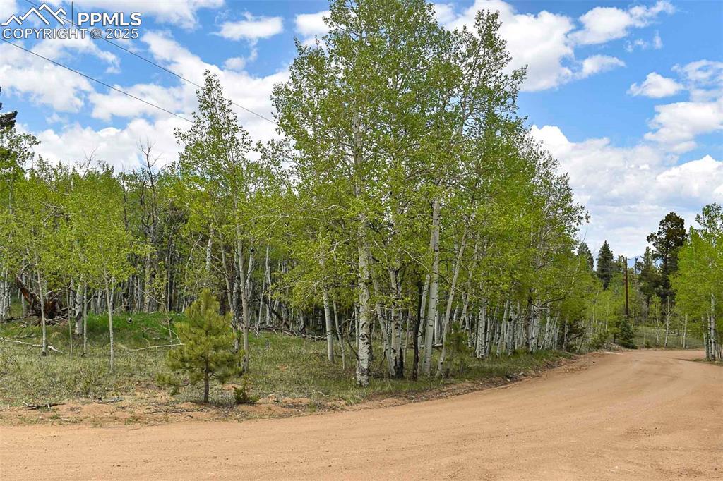 Image 2 of 25: Other