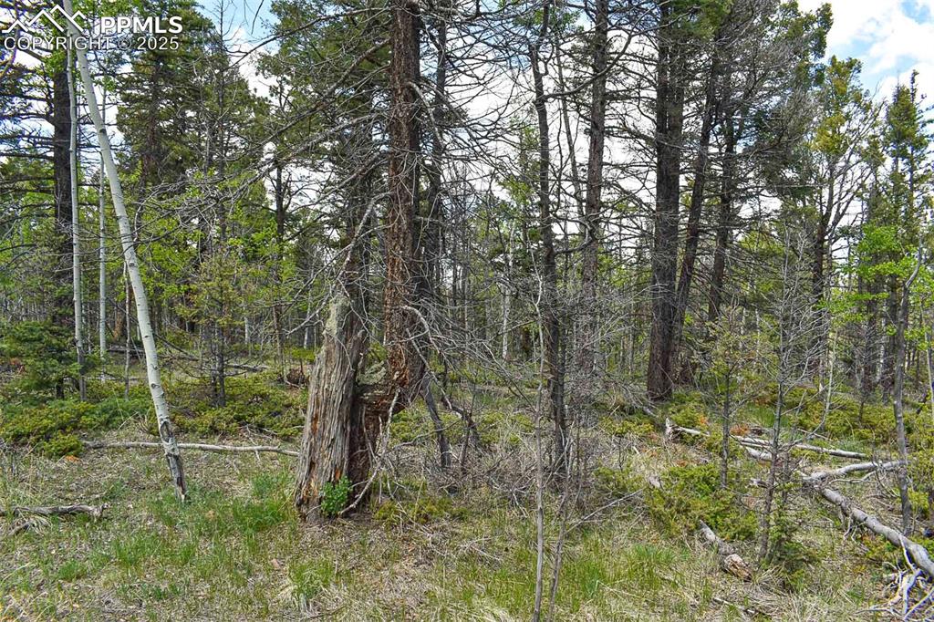 Image 20 of 25: Other