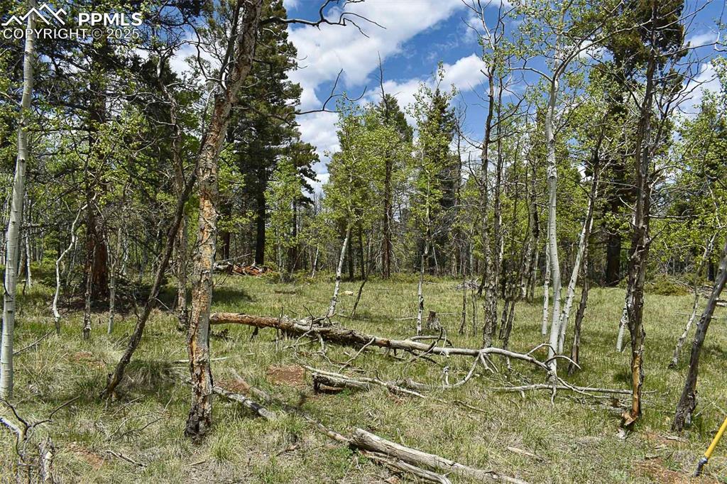 Image 21 of 25: Other