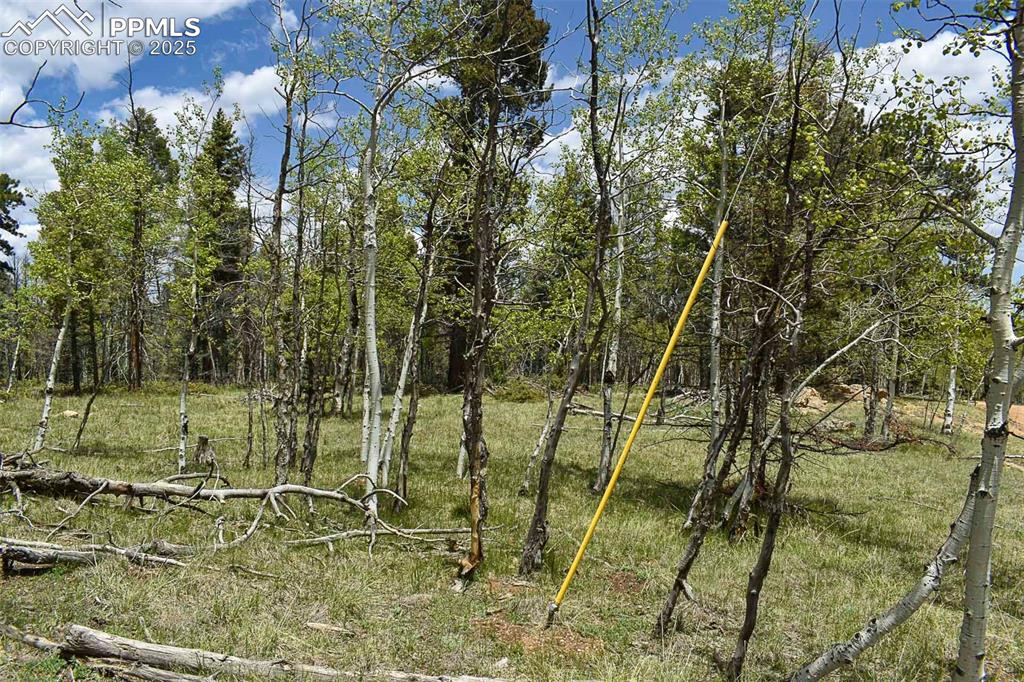 Image 22 of 25: Other