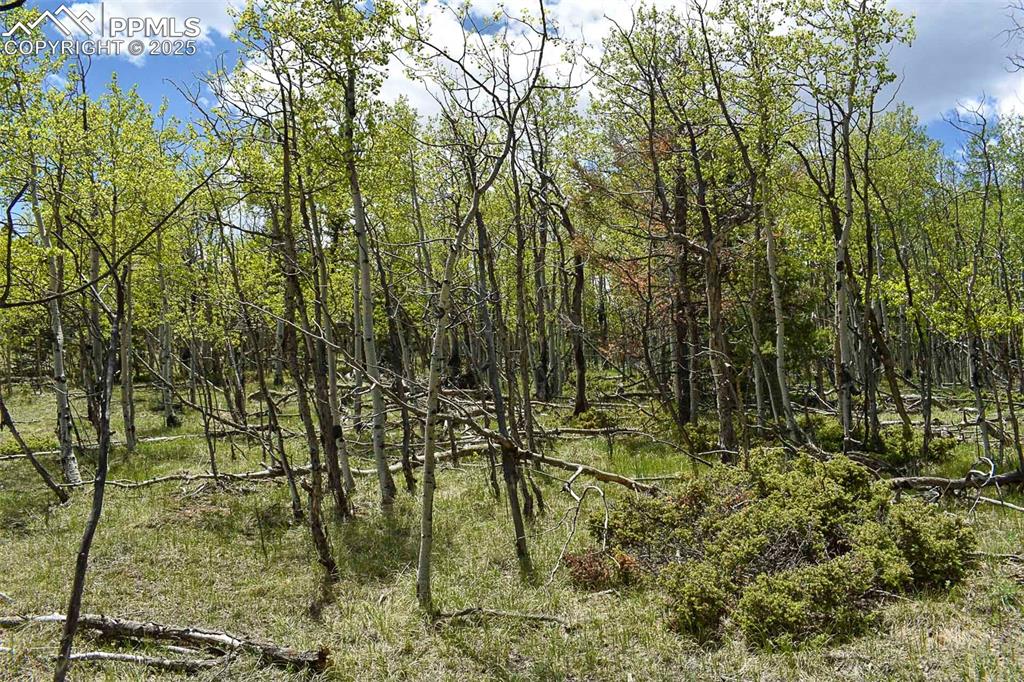 Image 23 of 25: Other