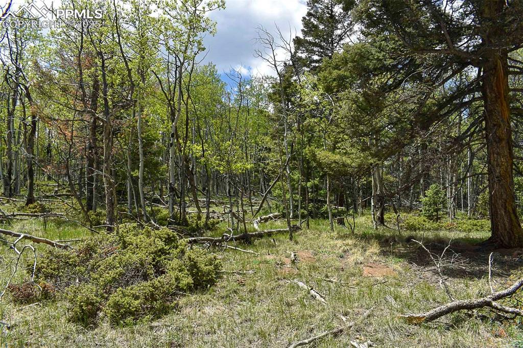 Image 24 of 25: Other