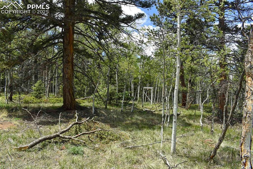 Image 25 of 25: Other