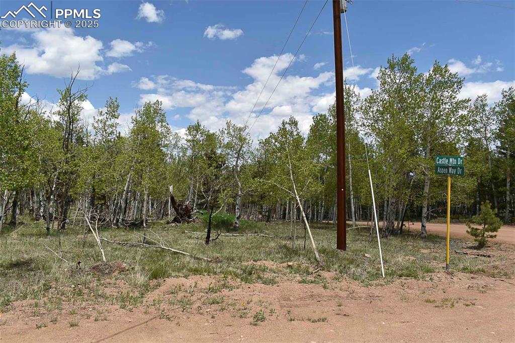 Image 3 of 25: Other