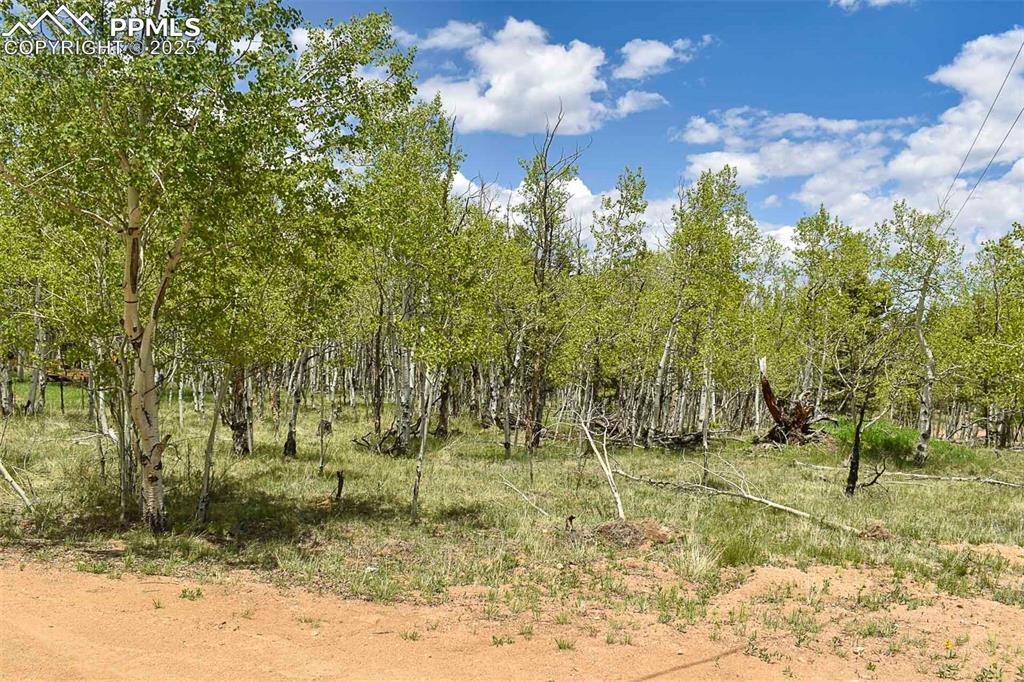 Image 4 of 25: Other