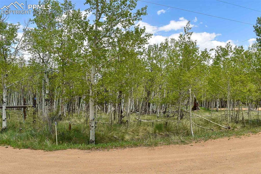 Image 5 of 25: Other