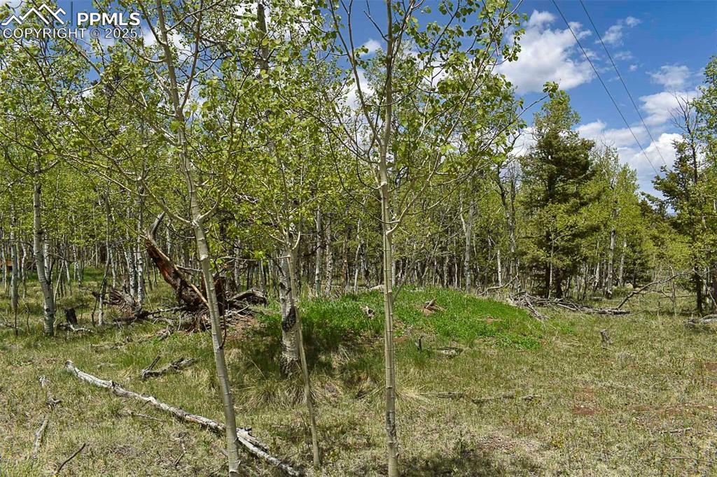 Image 7 of 25: Other