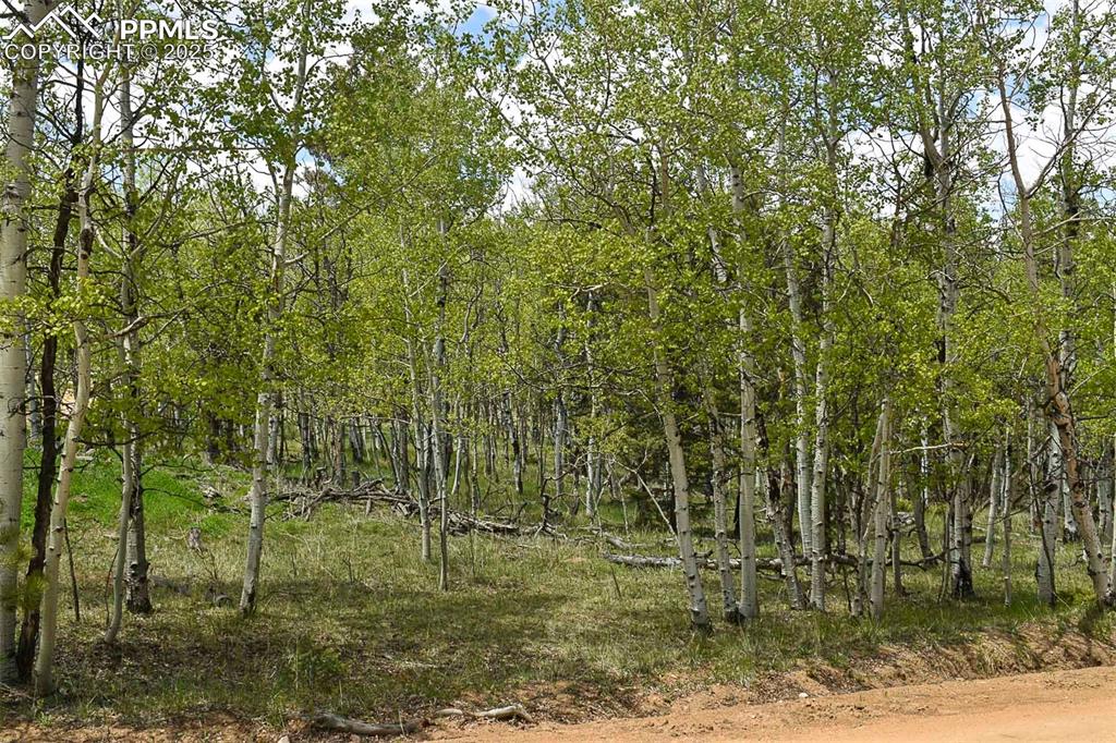 Image 9 of 25: Other