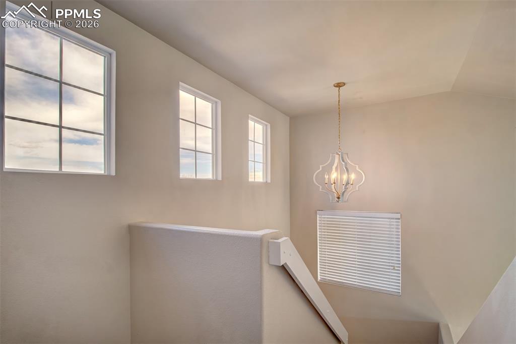 Image 16 of 33: Other