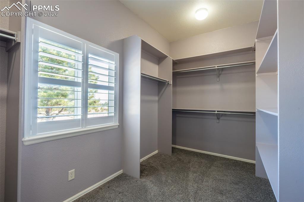 Image 20 of 49: Primary walk in clost