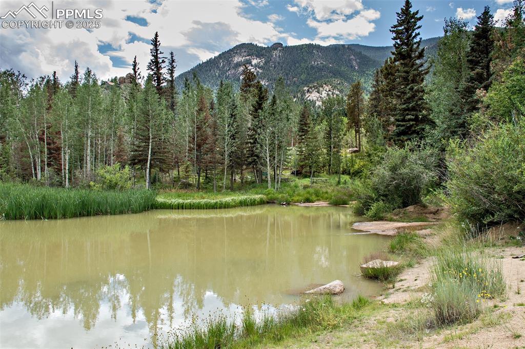 Image 6 of 23: Community