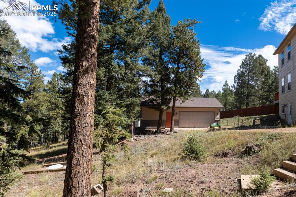 Image 44 of 44: Yard