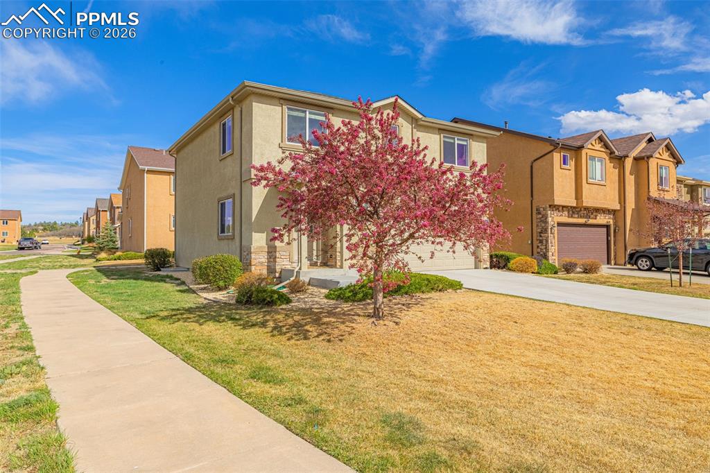 Image 33 of 44: Front of Structure