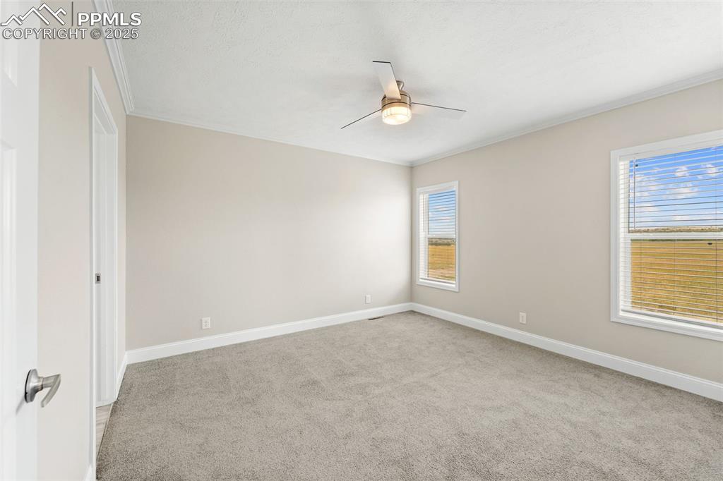 Image 21 of 44: Unfurnished room featuring ceiling fan, carpet, plenty of natural light, an