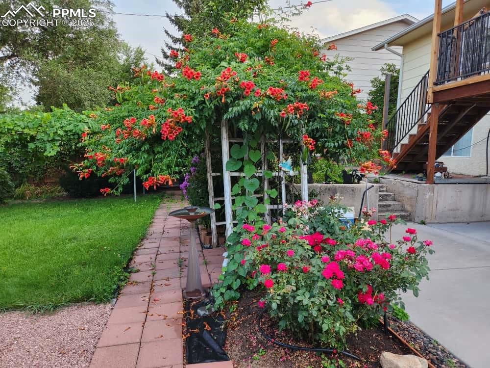 Image 18 of 26: SUMMER BLOOMS in Your Private Backyard Oasis!
