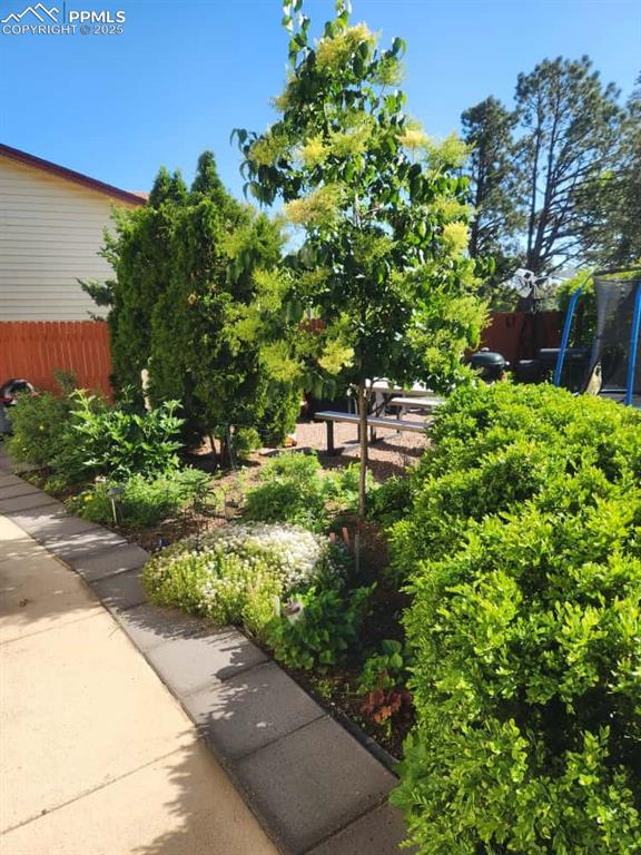 Image 19 of 26: Trees, Shrubs, Flowers, and Peaceful Privacy!