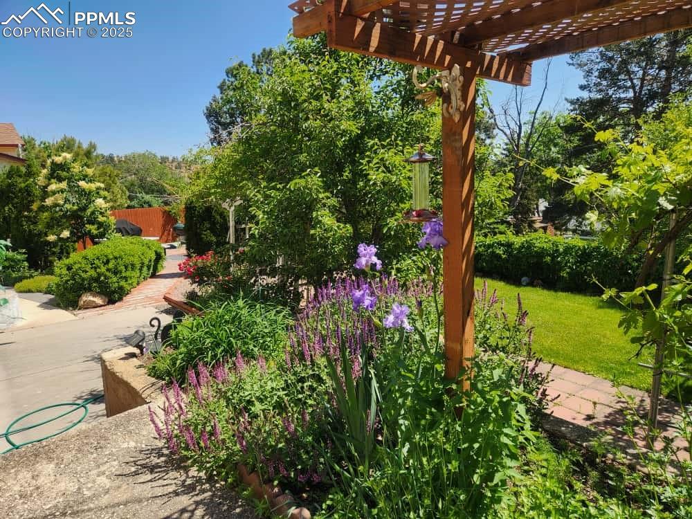 Image 20 of 26: Come Explore Your Private Garden!