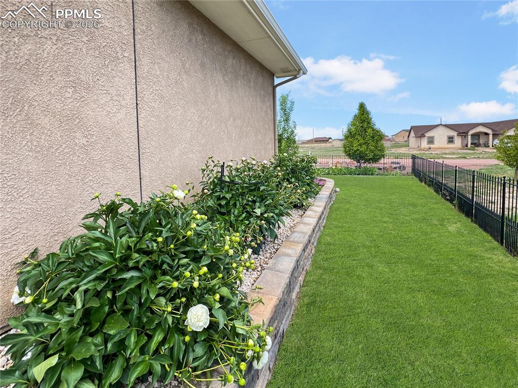 Image 39 of 41: Yard